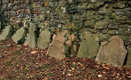 Židovský hřbitov Hranice_89