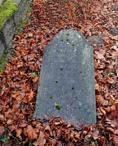 Židovský hřbitov Hranice_99