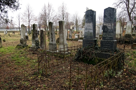 Židovský hřbitov Ivanovice na Hané_17