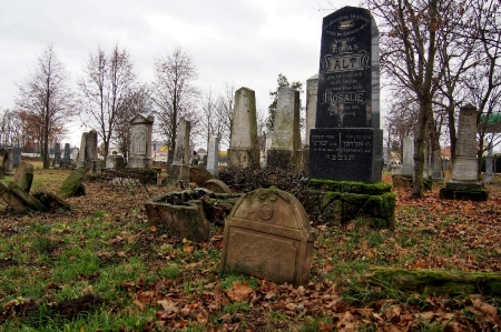 Židovský hřbitov Ivanovice na Hané_19
