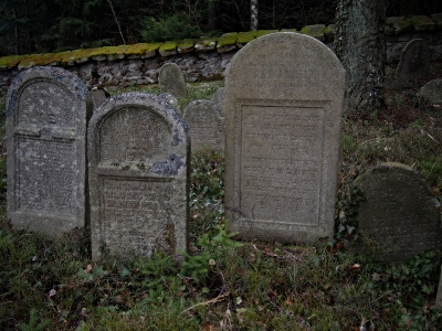 Židovský hřbitov Kamenice nad Lipou_13