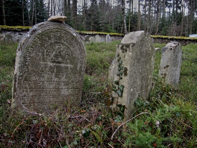 Židovský hřbitov Kamenice nad Lipou_14