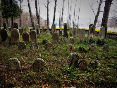 Židovský hřbitov Kamenice nad Lipou_16