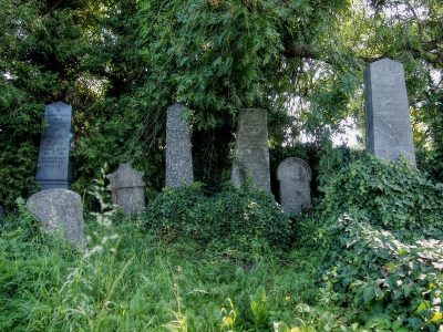 Židovský hřbitov Klatovy_13