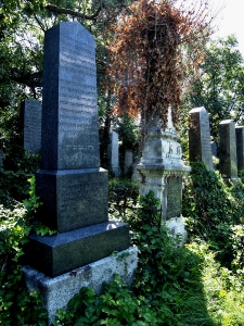 Židovský hřbitov Klatovy_14