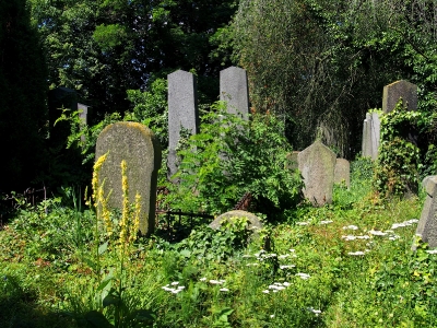 Židovský hřbitov Klatovy_18