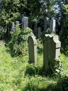 Židovský hřbitov Klatovy_23