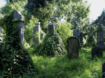 Židovský hřbitov Klatovy_24