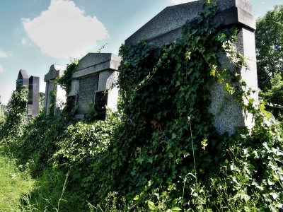 Židovský hřbitov Klatovy_26