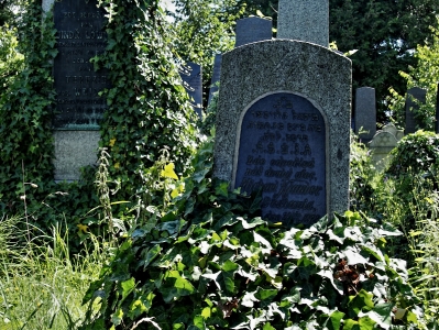 Židovský hřbitov Klatovy_27