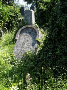 Židovský hřbitov Klatovy_29