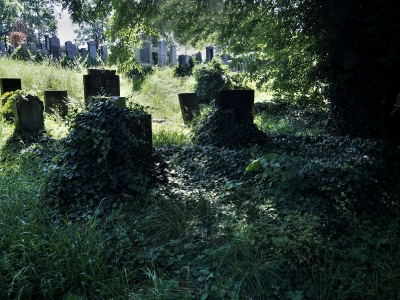 Židovský hřbitov Klatovy_5