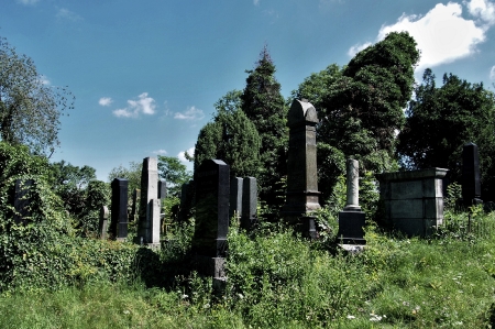Židovský hřbitov Klatovy_6