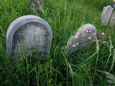Židovský hřbitov Kojetín_10