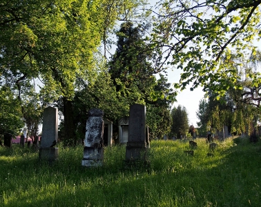 Židovský hřbitov Kojetín_19