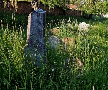 Židovský hřbitov Kojetín_27