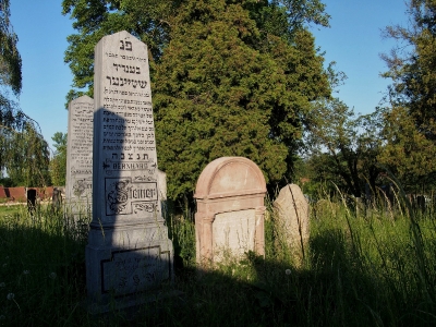 Židovský hřbitov Kojetín_28