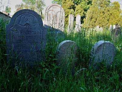 Židovský hřbitov Kojetín_29