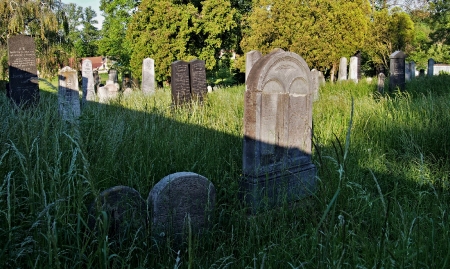 Židovský hřbitov Kojetín_30