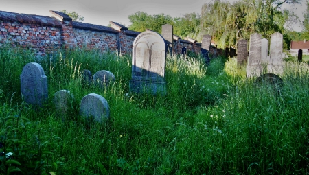 Židovský hřbitov Kojetín_32