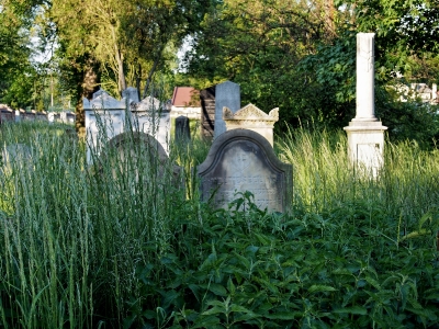 Židovský hřbitov Kojetín_45