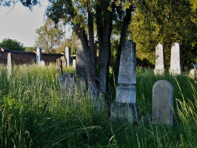 Židovský hřbitov Kojetín_46