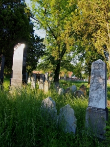 Židovský hřbitov Kojetín_50
