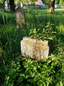 Židovský hřbitov Kojetín_51