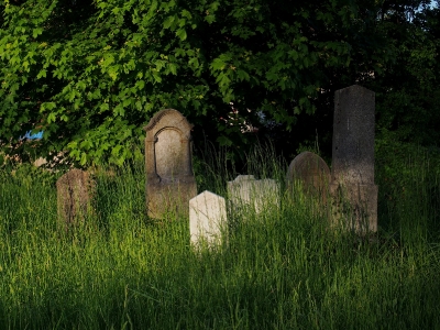 Židovský hřbitov Kojetín_58