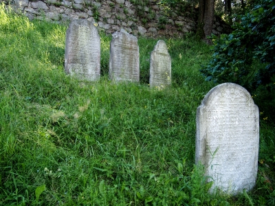 Židovský hřbitov Kolínec_12