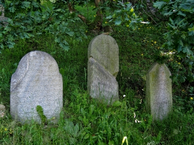 Židovský hřbitov Kolínec_18