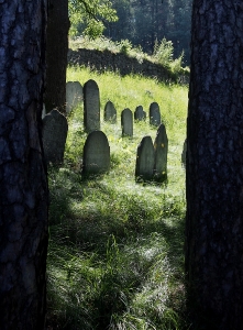 Židovský hřbitov Kolínec_24