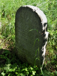 Židovský hřbitov Kolínec_30