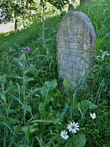 Židovský hřbitov Kolínec_33