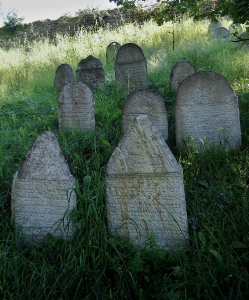 Židovský hřbitov Kolínec_34