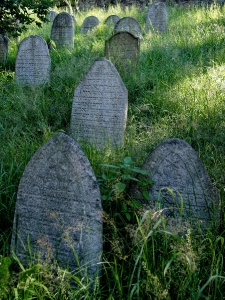 Židovský hřbitov Kolínec_36