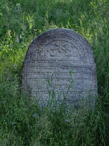 Židovský hřbitov Kolínec_38