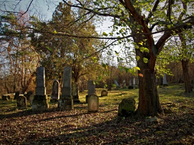 Židovský hřbitov Koryčany_29
