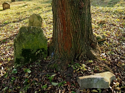 Židovský hřbitov Koryčany_32