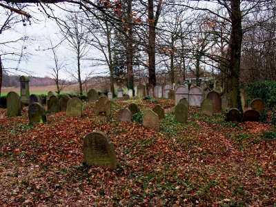 Židovský hřbitov Kostelec u Křížků