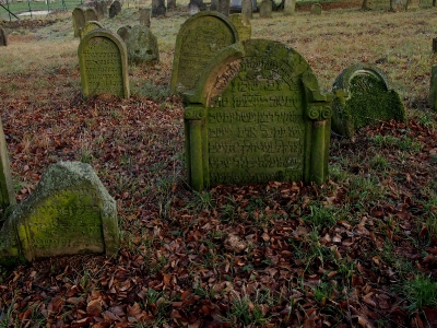 Židovský hřbitov Loštice_6