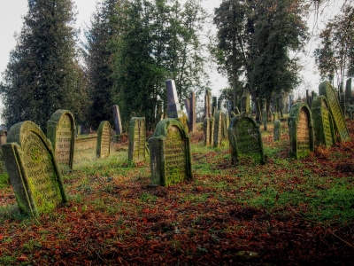 Židovský hřbitov Loštice_7