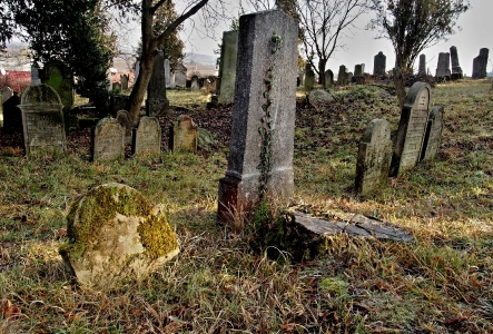 Židovský hřbitov Loštice_9