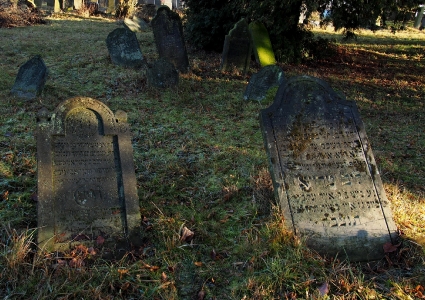 Židovský hřbitov Loštice_25