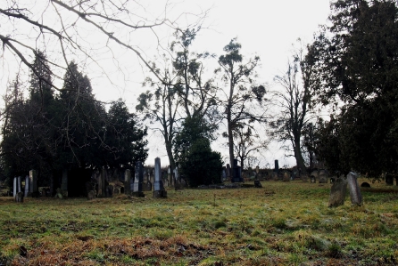 Židovský hřbitov Loštice_3