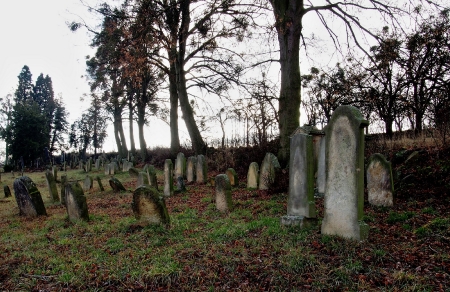 Židovský hřbitov Loštice_9