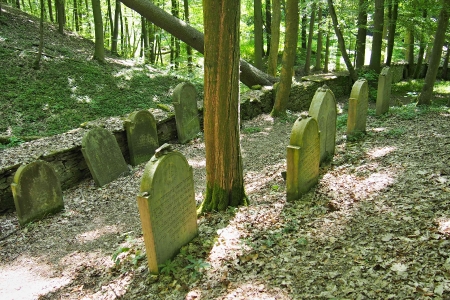 Židovský hřbitov Podbřezí_32