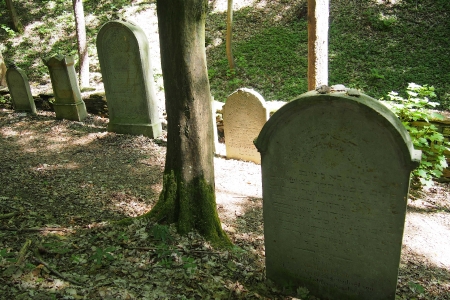 Židovský hřbitov Podbřezí_33