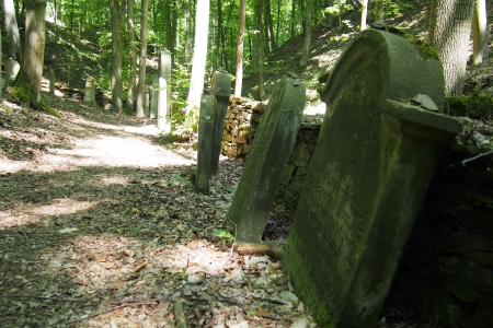 Židovský hřbitov Podbřezí_39