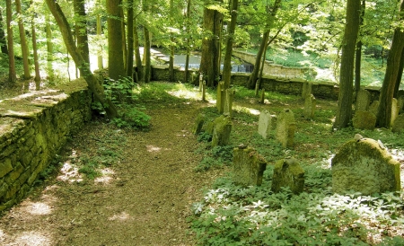 Židovský hřbitov Podbřezí_40